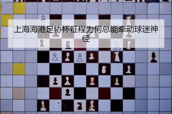 上海海港足协杯征程为何总能牵动球迷神经