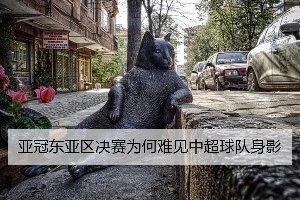 亚冠东亚区决赛为何难见中超球队身影
